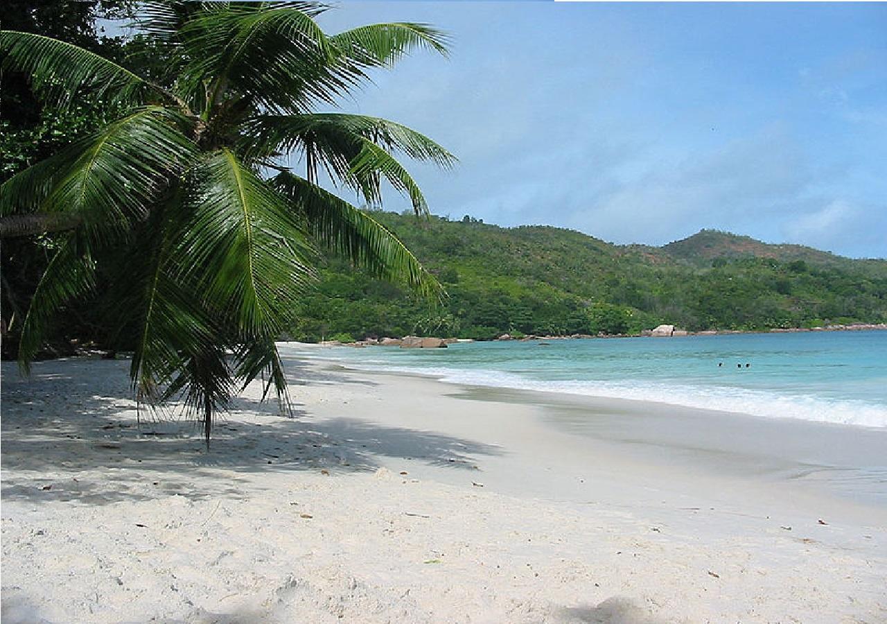 Hidden Paradise At Apto Del Cerro Samana Exterior photo